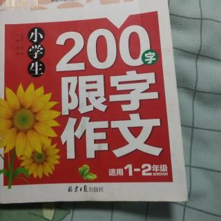 200阴字作文