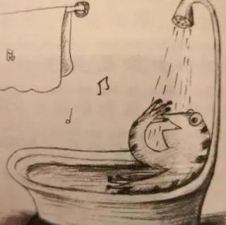 洗澡时爱唱歌的青蛙