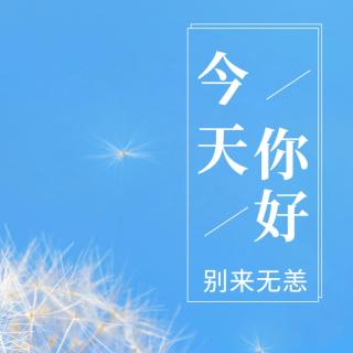 天才杂志演员。