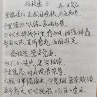 《桂枝香・金陵怀古》宋：王安石   诵读：子梅