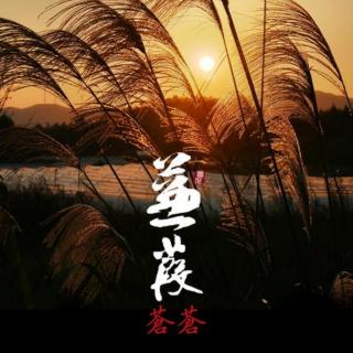 《蒹葭》郑子淇