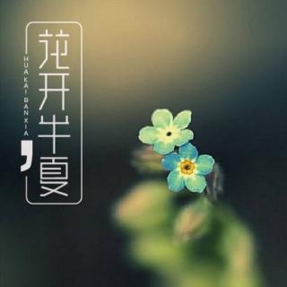 《花开半夏》第十六章