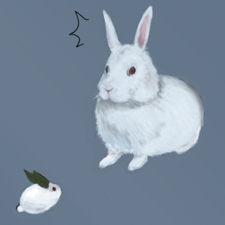 雪兔子
雪兔子
雪兔子