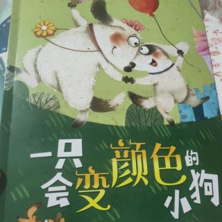 一只会变颜色的小狗🐕