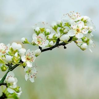 1学习《佛法让人生更美好》