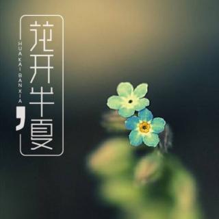 《花开半夏》第二十章