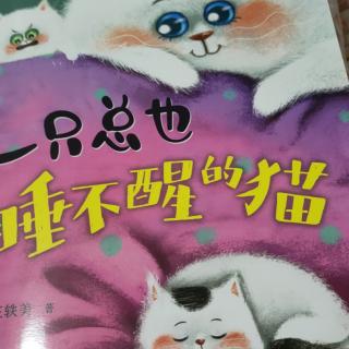 一只总也睡不醒的猫