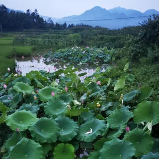 冰窗花