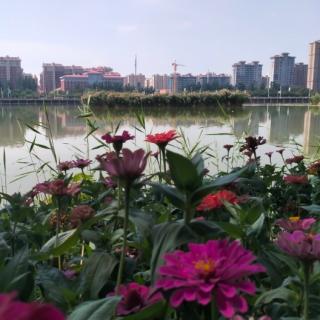 《秋天的声音》诵读：竹林听雨