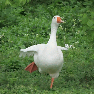 一道残阳铺水中