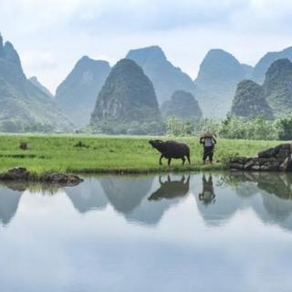 西崦人家应最乐，煮芹烧笋饷春耕