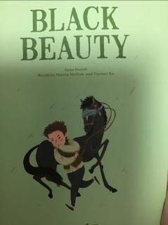 Black Beauty 1-4