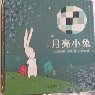 《月亮小兔》