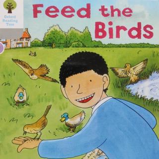 牛津树DD1-5 Feed the Birds