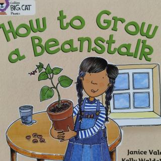 Big cat-How to grow a beanstalk