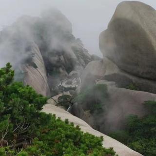 生命如此美好，我们本该绽放