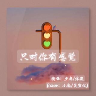 【合唱】只对你有感觉 - 少年 & 沐岚 （cover：小鬼/王子异/吴宣仪）