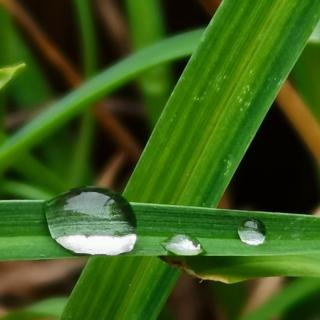 诵读：若心｜雨润心田，风追逐着思念—文字：秦川（来自FM195629679）