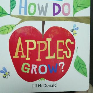 how do apples grow