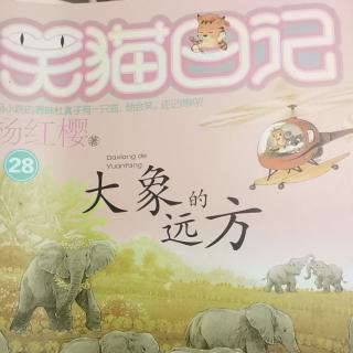 大象🐘的远方2