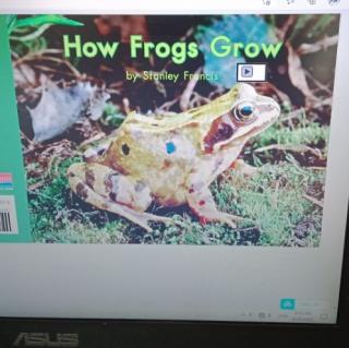 How frogs grow