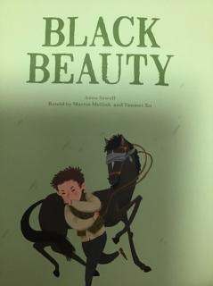 Black beauty 8-10