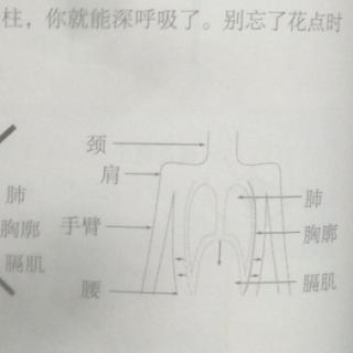 4.3EXPRESSION表达