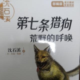 《第七条猎狗》