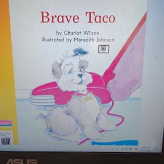 Brave  Taco