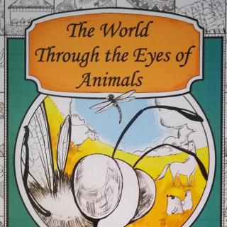 《The World Through the Eyes of Animals》