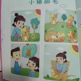 小猫舔毛