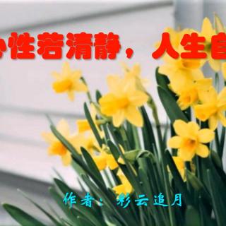 《心性若清静，人生自安然》作者：彩云追月 诵读：大连伙计