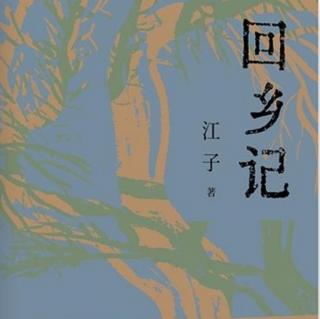 散文《回乡记》（上）作者：江子