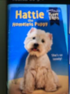 Hattie the homeless puppy -chapter 1