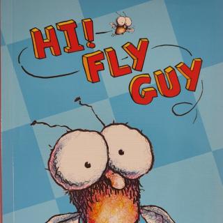 FLY GUY 01 Hi！Fly Guy