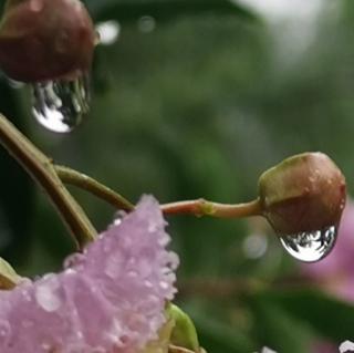 品味秋雨