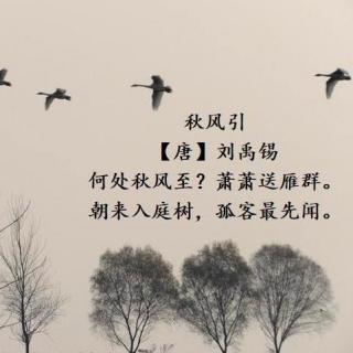 徐卫东配乐吟诵《秋风引》（刘禹锡）