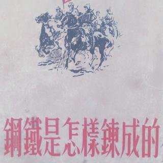 《钢铁是怎样炼成的》序2