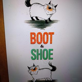 Boot And Shoe