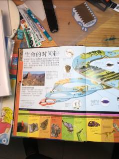 儿童恐龙百科全书2生命的时间轴