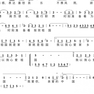 我爱我的祖国（混音效果）