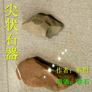 《尖状石器》作者：蔡旭