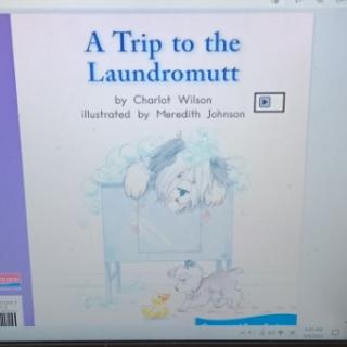 A trip to the laundramutt