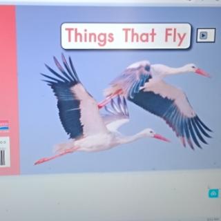 Things that fly