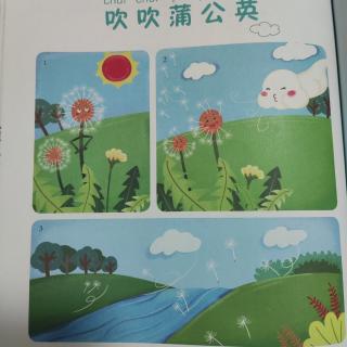 吹吹蒲公英