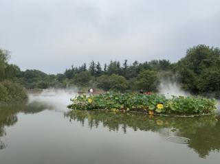 《海南，我来了》青青河边芳草地