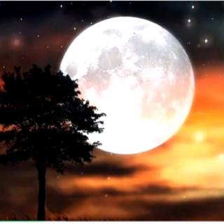 中秋佳节最美的旋律，詹姆斯拉斯特《月光奏鸣曲》