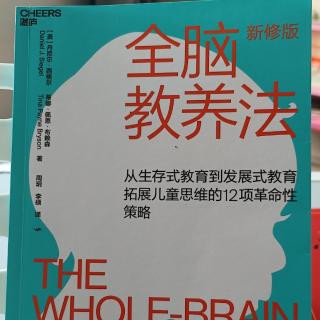 全脑教养法第6、7法