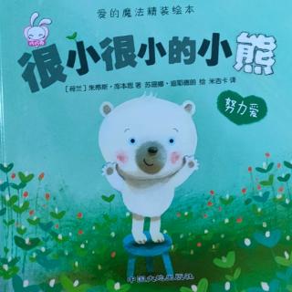 幼专附属幼儿园杜老师《很小很小的小熊》