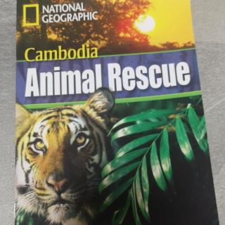 Combodia Animal Rescue By Darcy